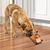 Pawzy Jouet écureuil couineur pour chien