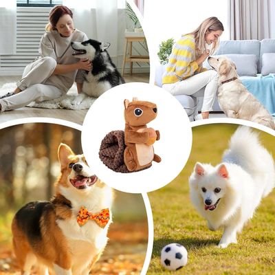 Pawzy Jouet écureuil couineur pour chien