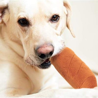 Pawzy Jouet couineur à mâcher - 2 os en peluche pour chien/chat