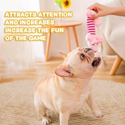 Pawzy 3 peluches couineuses pour chien