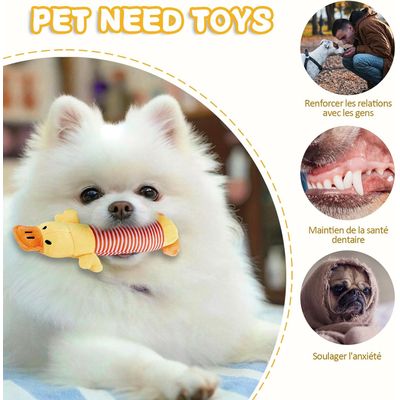 Pawzy 3 peluches couineuses pour chien