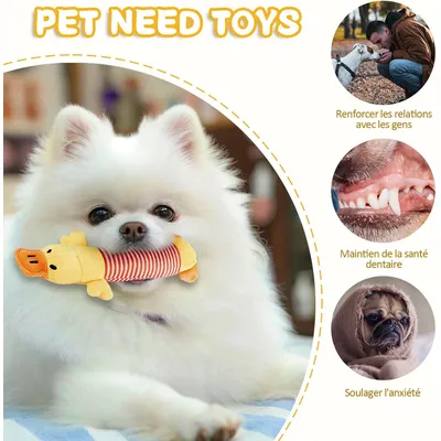 Pawzy 3 peluches couineuses pour chien