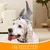 Pawzy Chapeau requin pour chien Taille grande Pawzy Chapeau requin pour chien Taille grande