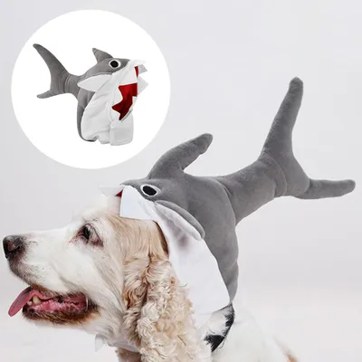 Pawzy Chapeau requin pour chien Taille grande Pawzy Chapeau requin pour chien Taille grande