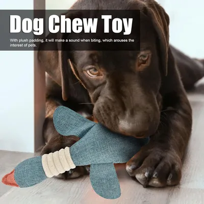 Pawzy Jouet à mâcher canard - Nettoyant dentaire + 3 couleurs aléatoires