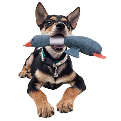 Pawzy Jouet à mâcher canard - Nettoyant dentaire + 3 couleurs aléatoires