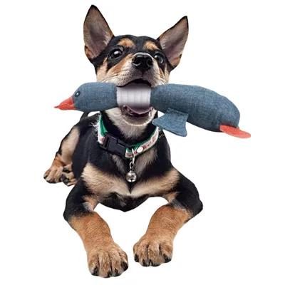 Pawzy Jouet à mâcher canard - Nettoyant dentaire + 3 couleurs aléatoires