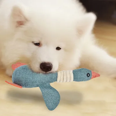 Pawzy Jouet à mâcher canard - Nettoyant dentaire + 3 couleurs aléatoires