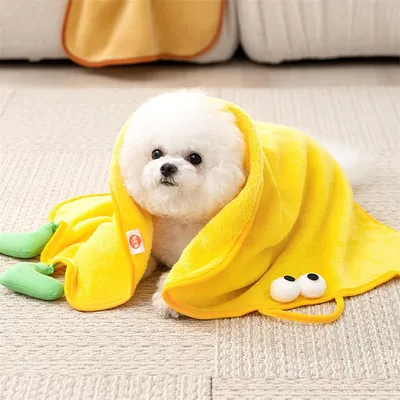 Pawzy Serviettes pour animaux de compagnie