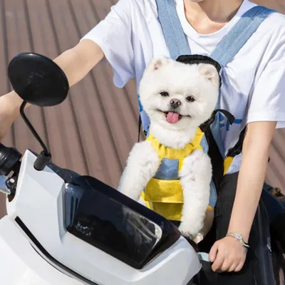 Zoomtopia Sac de transport pour animaux