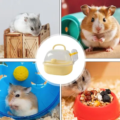 Pawzy Transporteur ventilé pour hamster