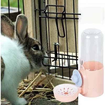 Zoomtopia Distributeur d'eau pour lapin