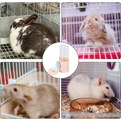 Zoomtopia Distributeur d'eau pour lapin