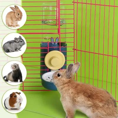 Zoomtopia Trinkbrunnen für Kaninchen
