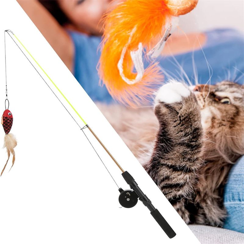 Pawzy Bâton de jeu pour chat