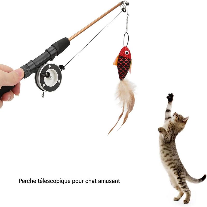 Pawzy Bâton de jeu pour chat