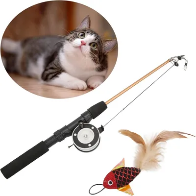 Pawzy Bâton de jeu pour chat