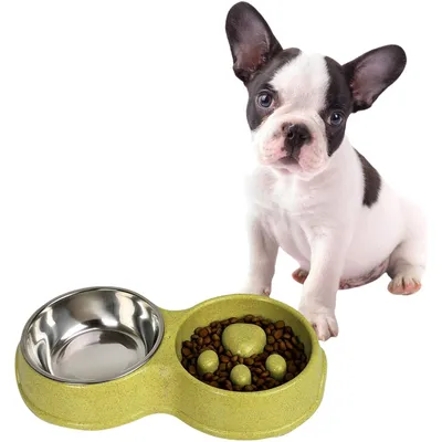 Zoomtopia Comedero de alimentación lenta para perros y gatos