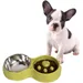 Zoomtopia Bol anti-glouton pour chien et chat