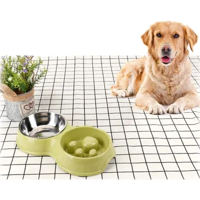 Zoomtopia Comedero de alimentación lenta para perros y gatos