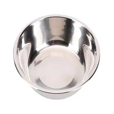 Zoomtopia Bol anti-glouton pour chien et chat