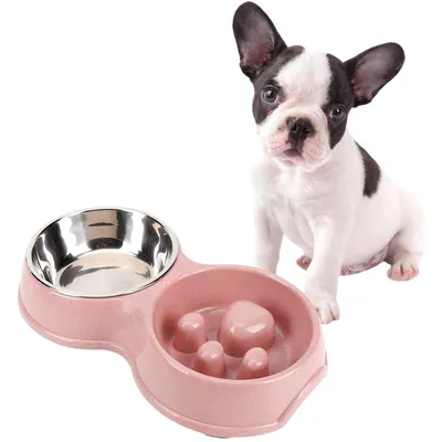 Zoomtopia Comedero de alimentación lenta para perros y gatos