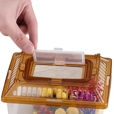 Pawzy Aquarium Transparent pour Tortue avec Plateforme et Couvercle