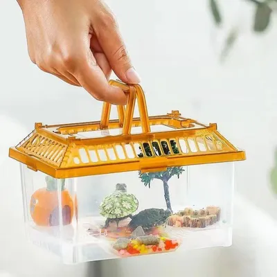 Pawzy Aquarium Transparent pour Tortue avec Plateforme et Couvercle