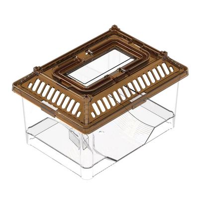 Pawzy Aquarium Transparent pour Tortue avec Plateforme et Couvercle