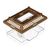 Pawzy Aquarium Transparent pour Tortue avec Plateforme et Couvercle