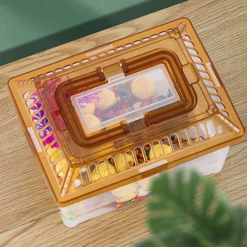 Pawzy Aquarium Transparent pour Tortue avec Plateforme et Couvercle