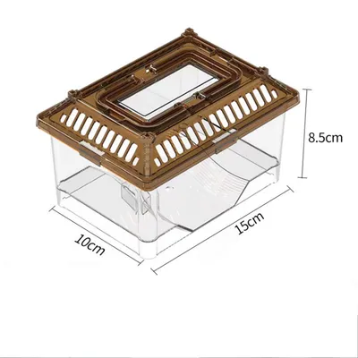 Pawzy Aquarium Transparent pour Tortue avec Plateforme et Couvercle