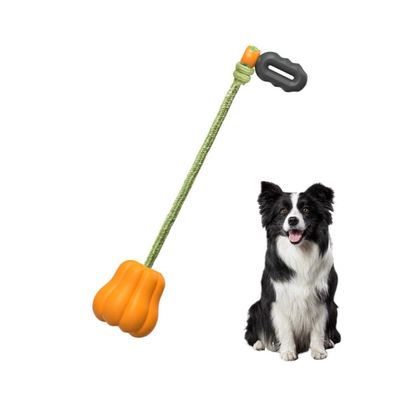 Zoomtopia Jouet couineur pour chien