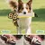 Zoomtopia Unzerstörbares Hundespielzeug