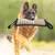 Zoomtopia Unzerstörbares Hundespielzeug Zoomtopia Unzerstörbares Hundespielzeug