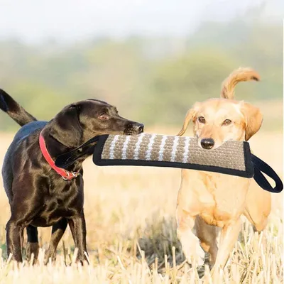 Zoomtopia Unzerstörbares Hundespielzeug Zoomtopia Unzerstörbares Hundespielzeug