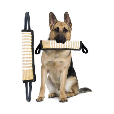 Zoomtopia Jouet Indestructible pour Chien