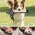 Zoomtopia Unzerstörbares Hundespielzeug Zoomtopia Unzerstörbares Hundespielzeug