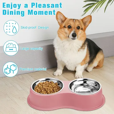 Pawzy Comedero para perros 2 en 1