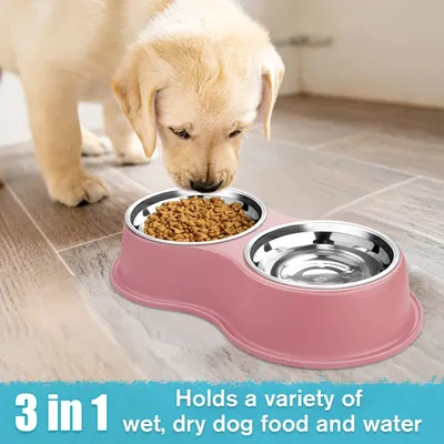Pawzy Comedero para perros 2 en 1