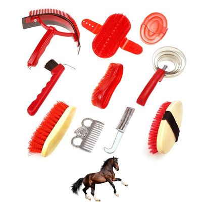 ZooVenture Kit de toilettage complet pour chevaux