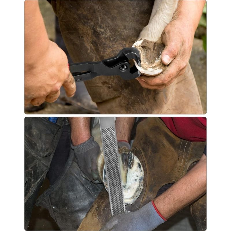 ZooVenture Ensemble de soins des sabots pour chevaux