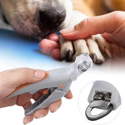 Pawzy Ciseaux pour ongles d'animal