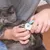Zoomtopia Coupe - griffes pour chat et chien Zoomtopia Coupe - griffes pour chat et chien