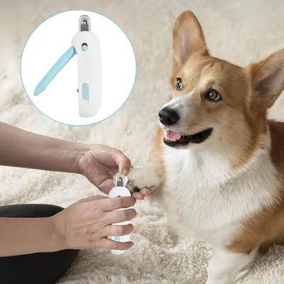Zoomtopia Coupe - griffes pour chat et chien Zoomtopia Coupe - griffes pour chat et chien