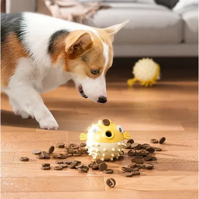 Zoomtopia Balle en caoutchouc pour chien