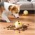 Zoomtopia Balle en caoutchouc pour chien