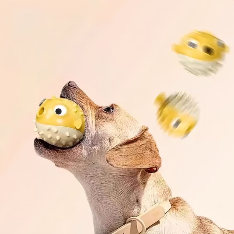 Zoomtopia Balle en caoutchouc pour chien