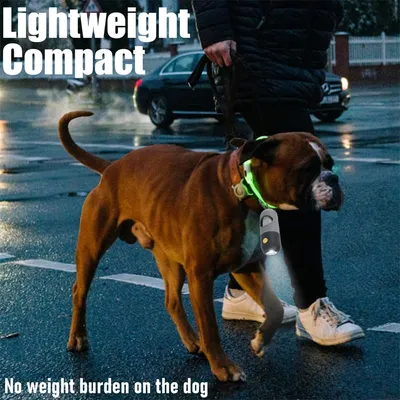 Pawzy Distributeur de sacs à excréments pour chien avec lampe