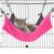 Zoomtopia Hamac suspendu pour chat et chiot